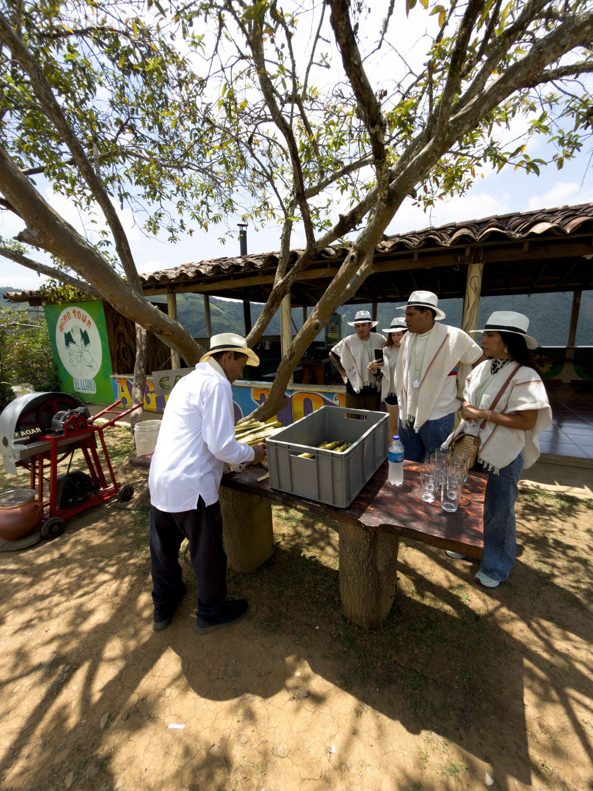 Sabores del campo