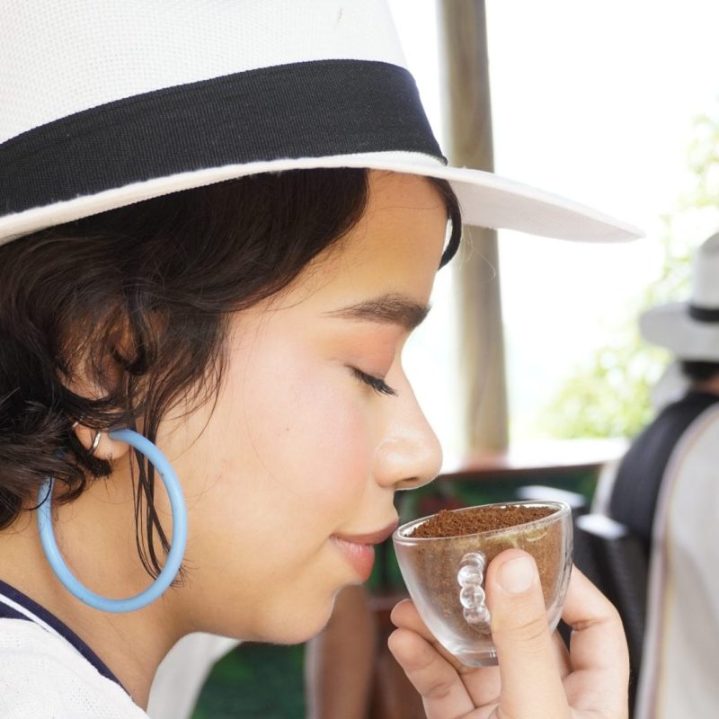 TOUR CAFÉ Y FRUTAS