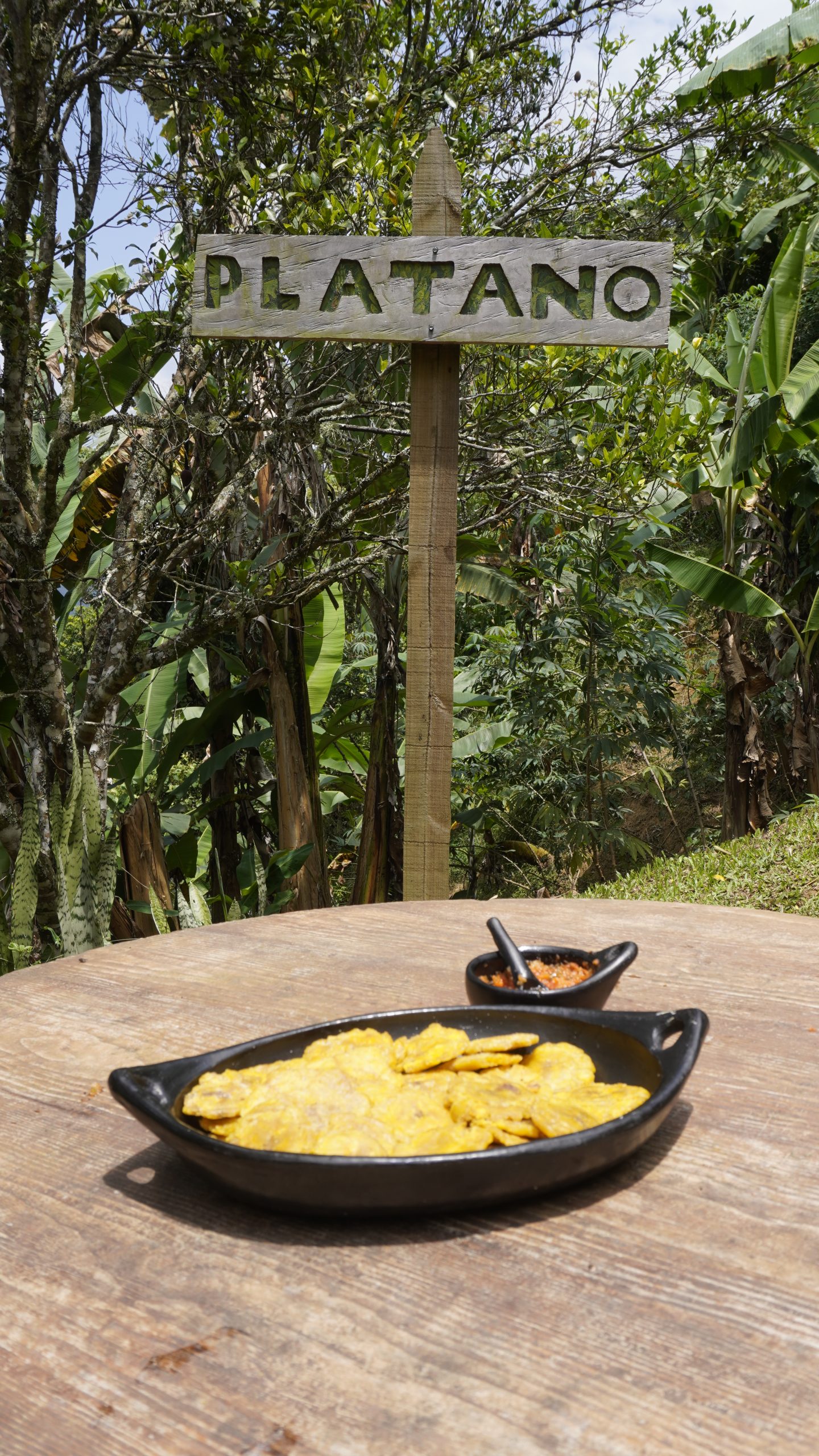 Gastronomía tradicional