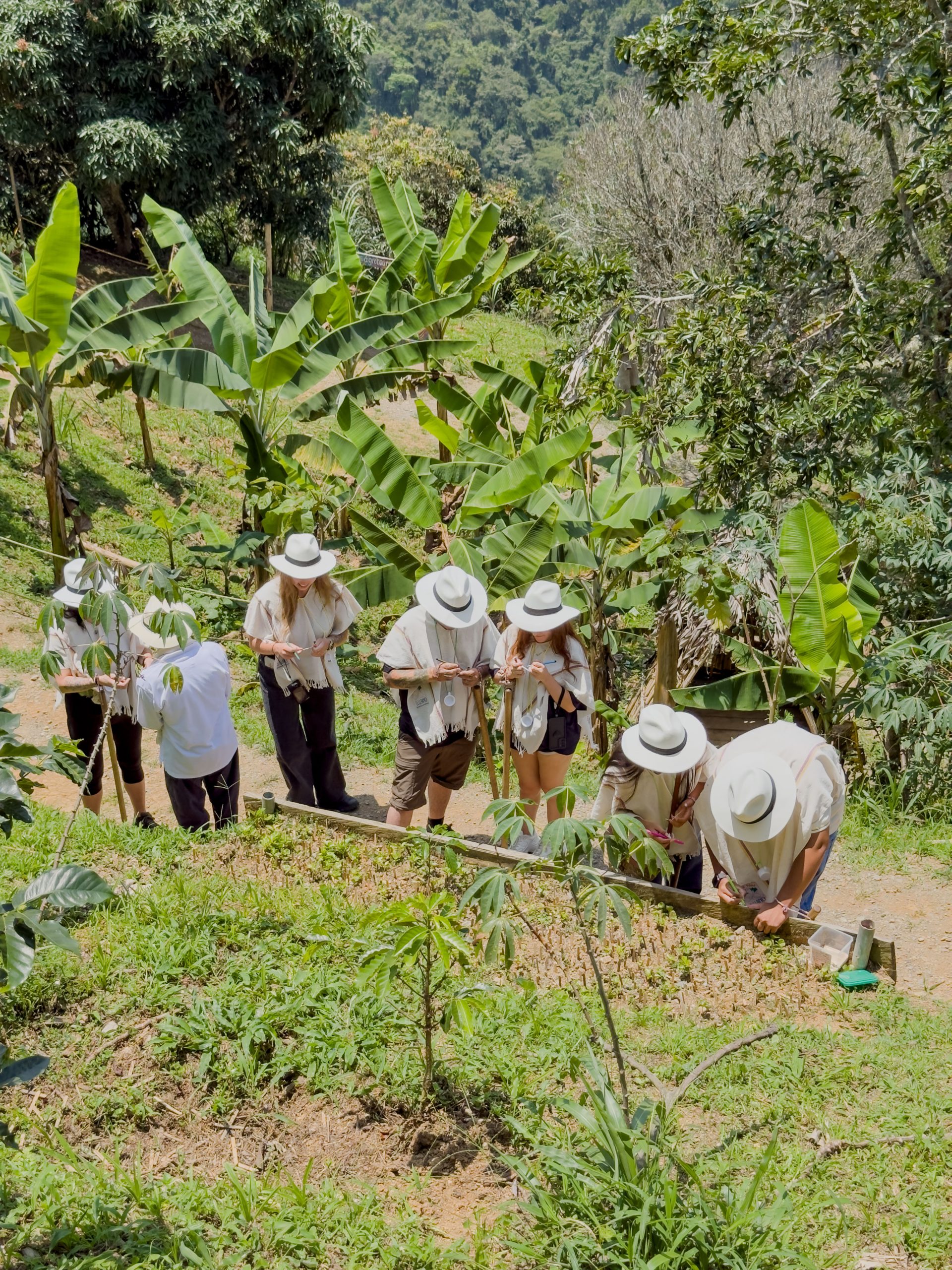 Tour Agrotour